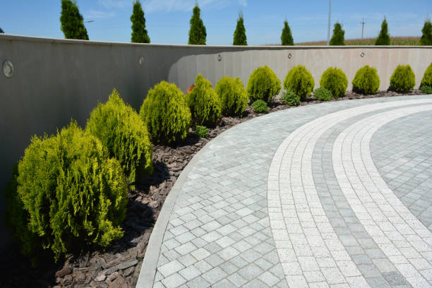 Best Decorative Driveway Pavers  in Llington, MI